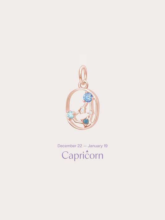 Capricorn Charm - Zodiac Sign Jewelry