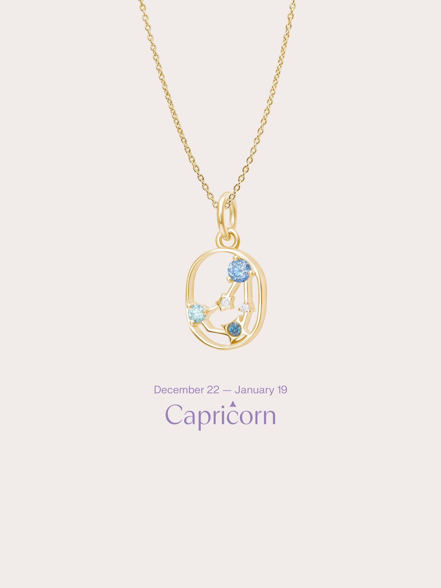 Capricorn Necklace - Zodiac Sign Jewelry