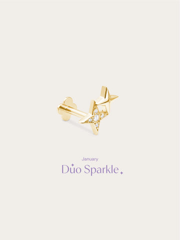 Duo Sparkle Flatback Earring