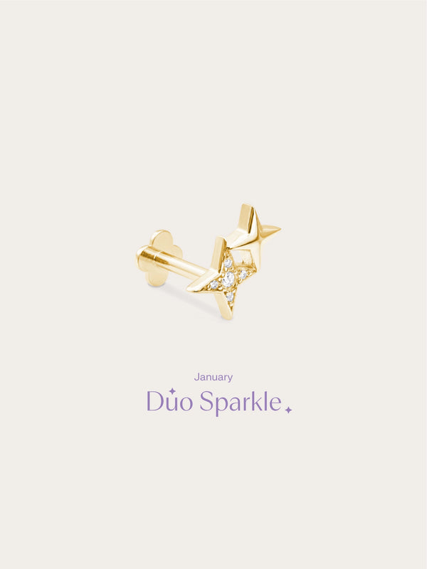Duo Sparkle Flatback Earring
