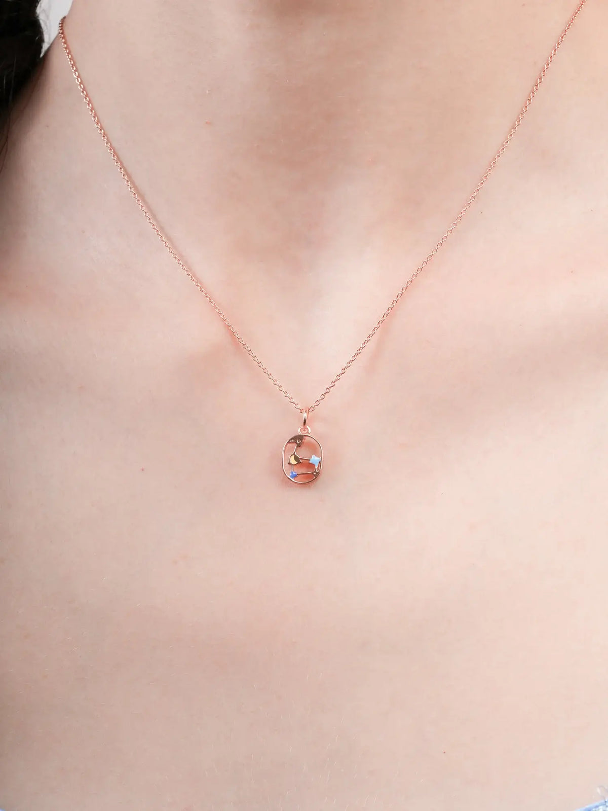 Leo Necklace - Zodiac Sign Jewelry