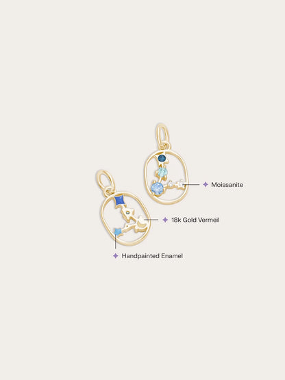 Pisces Charm - Zodiac Sign Jewelry