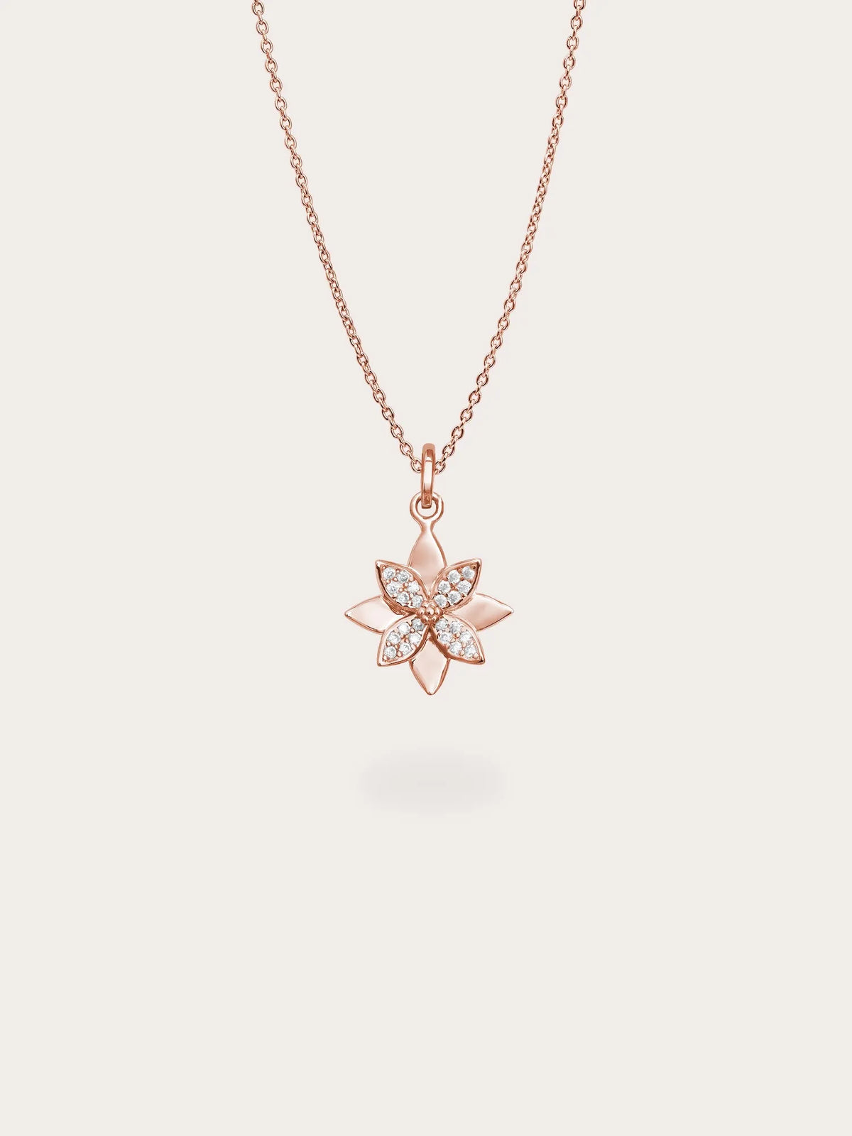 Poinsettia Necklace and Earrings Set