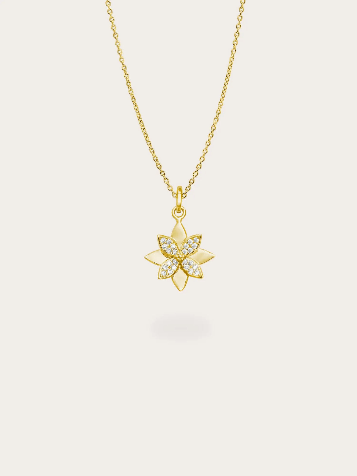 Poinsettia Necklace and Earrings Set