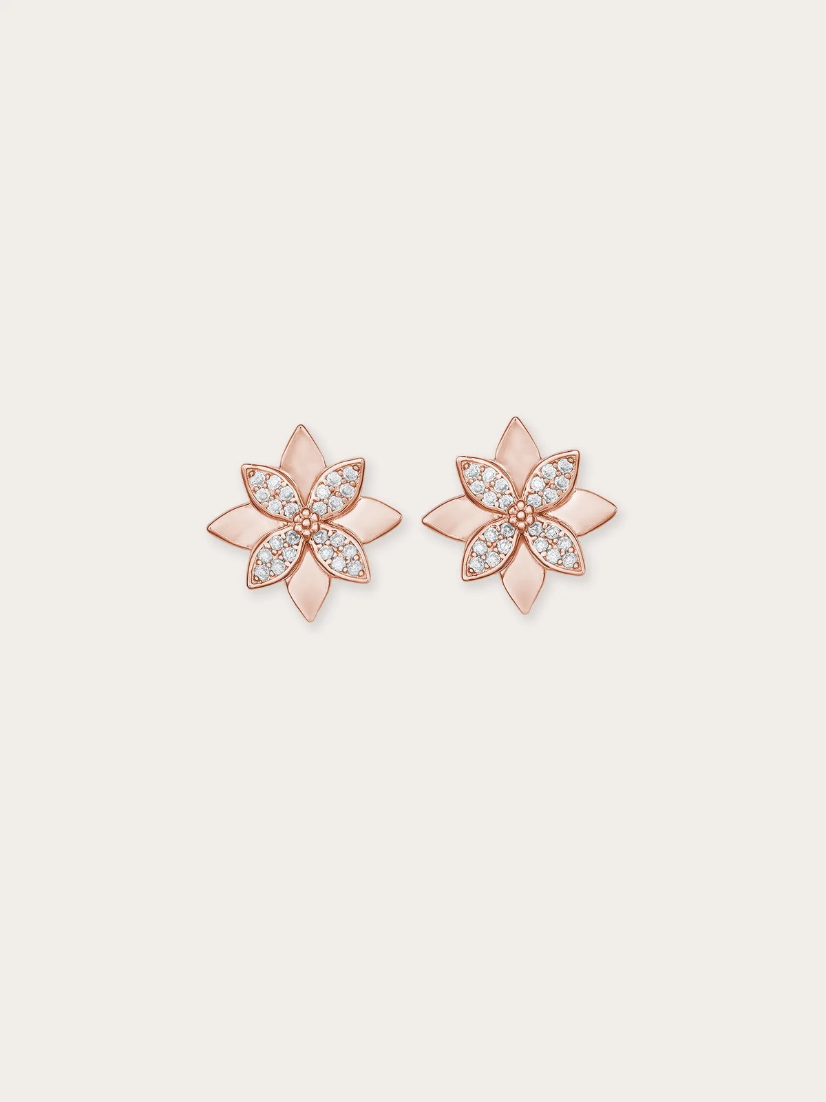 Poinsettia Necklace and Earrings Set