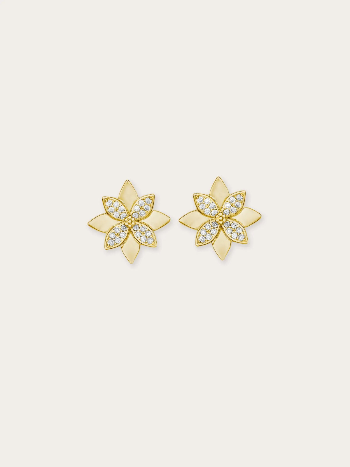 Poinsettia Necklace and Earrings Set