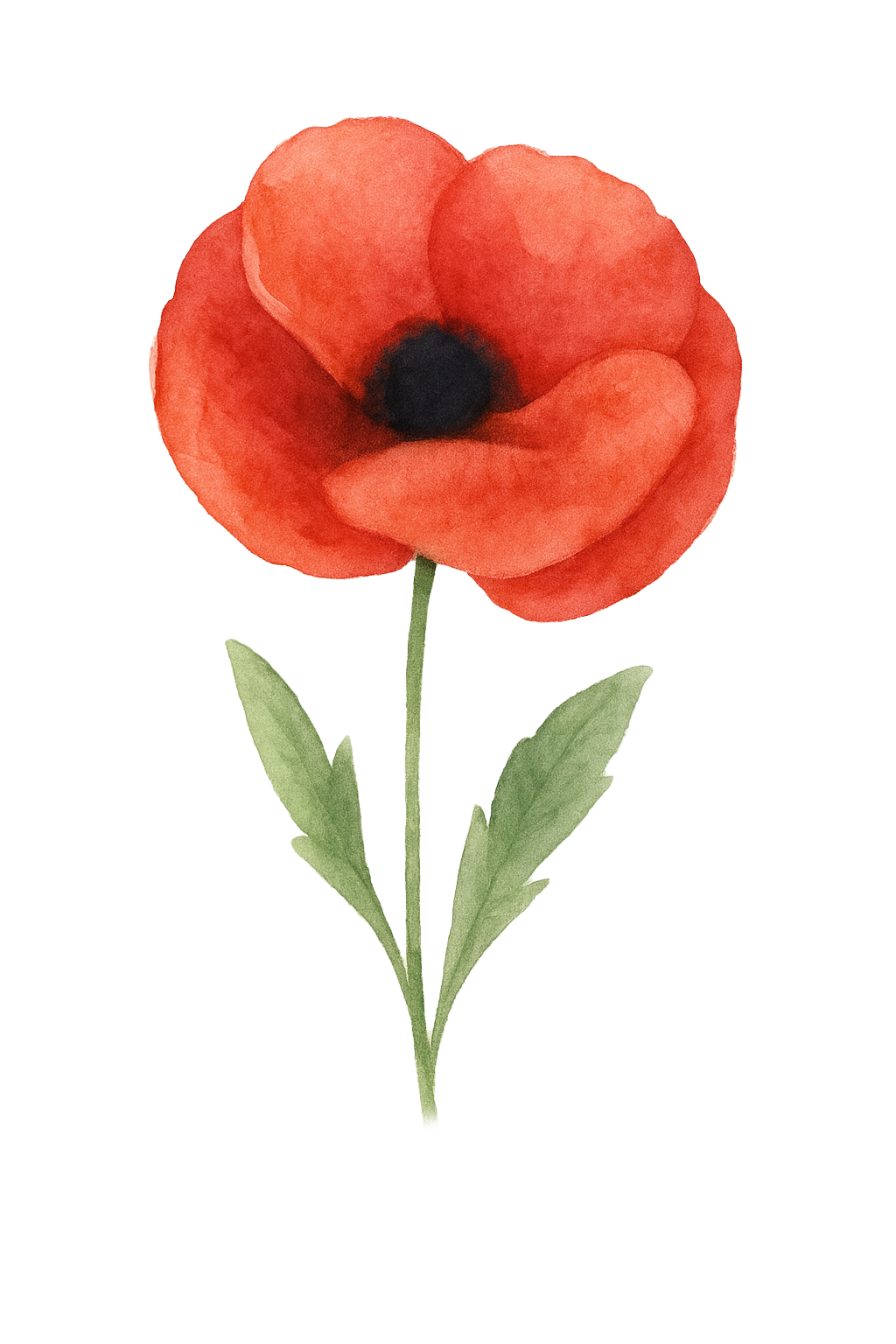 Poppy – Mondays Made Flower & Birthstone Jewelry Singapore